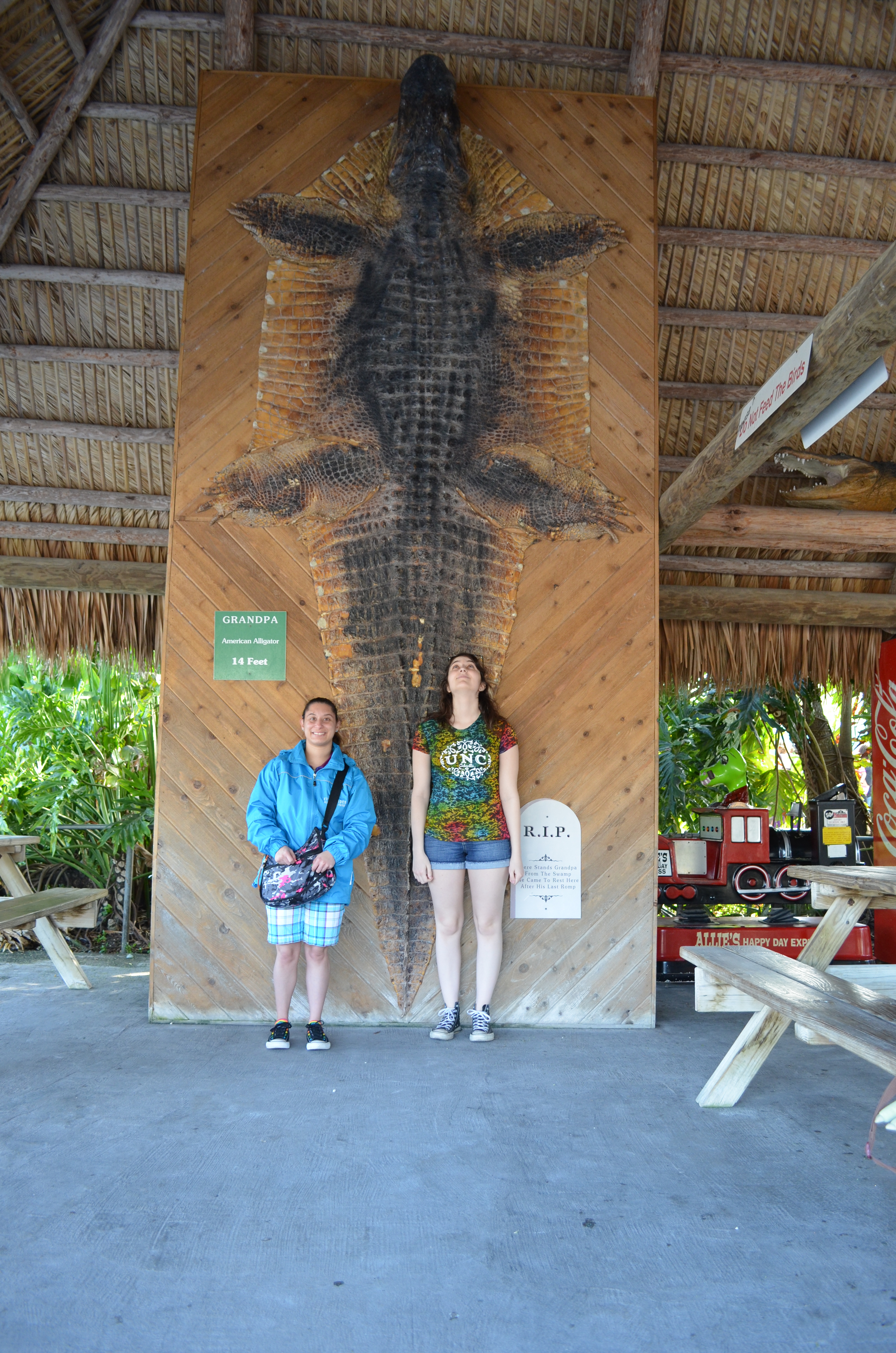 ./2012/Christmas/Aligator Farm/VDSC_0972.JPG